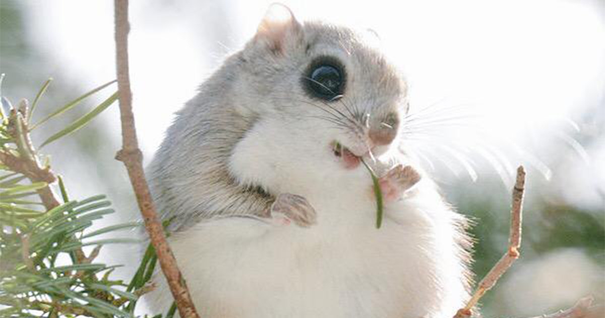 🏞️ 토카치 늪 정원(토카치 눗푸쿠 가덴) 이미지 6